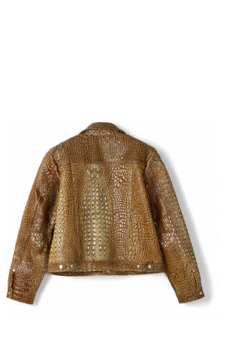 Back view of Leather Jacket Brown Leather Jacket