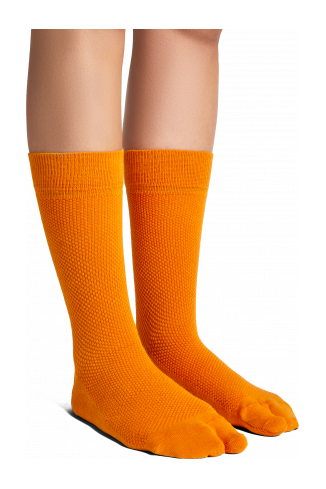Hastalavista Socks