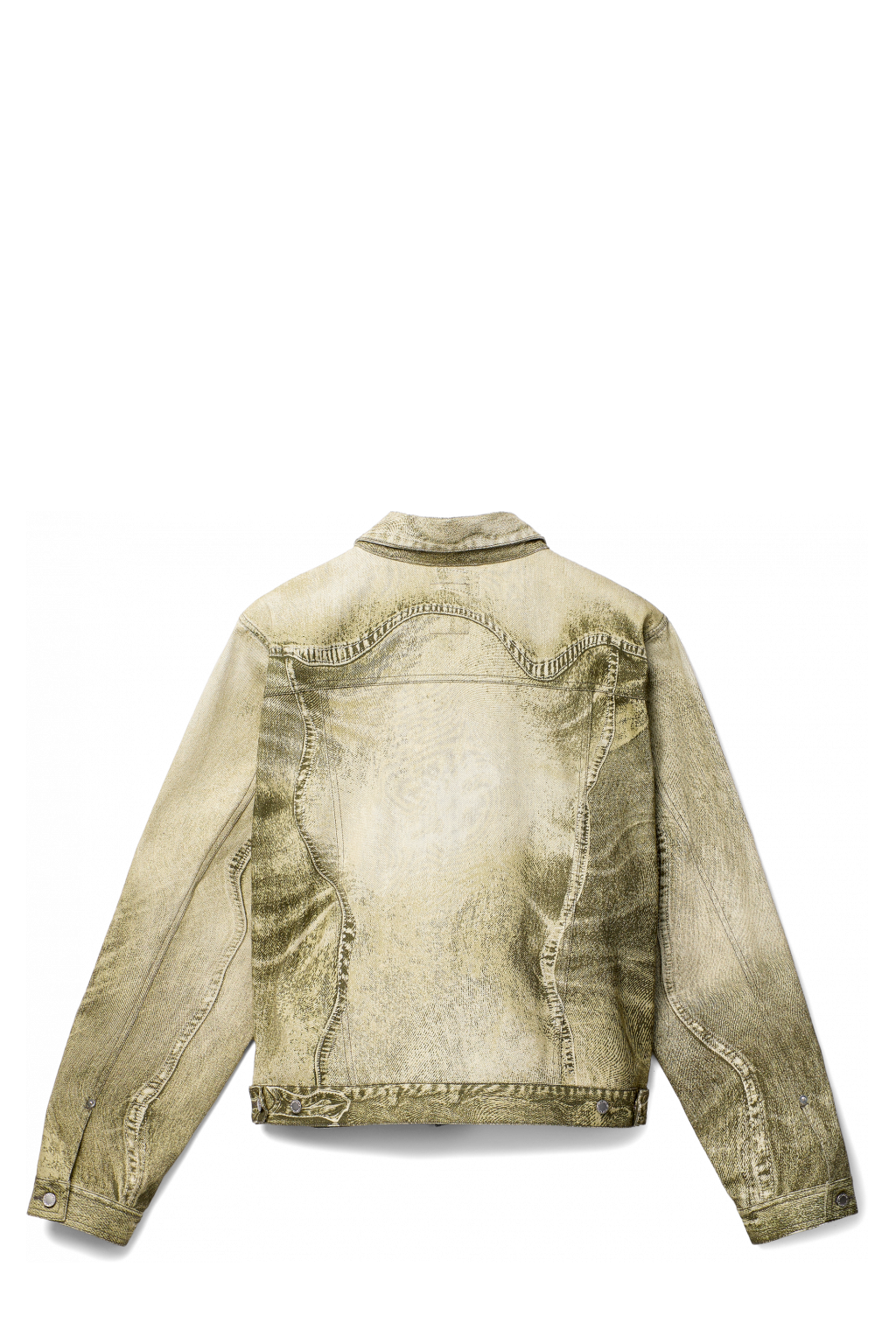 Back view of Denim Jacket  Black-Green Denim Jacket